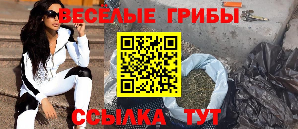 Галлюциногенные грибы Psilocybe  Псилоцибиновые грибы Psilocybe  Вход с VPN  Горячий Ключ 